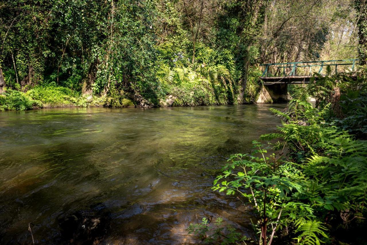 Affittacamere Quinta De Mouraes Casa Dos Rododendros Lever Esterno foto