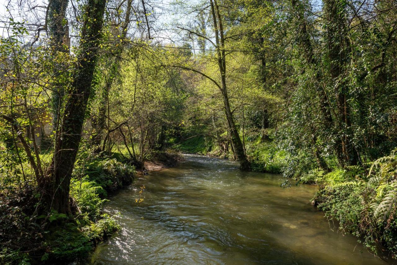Affittacamere Quinta De Mouraes Casa Dos Rododendros Lever Esterno foto