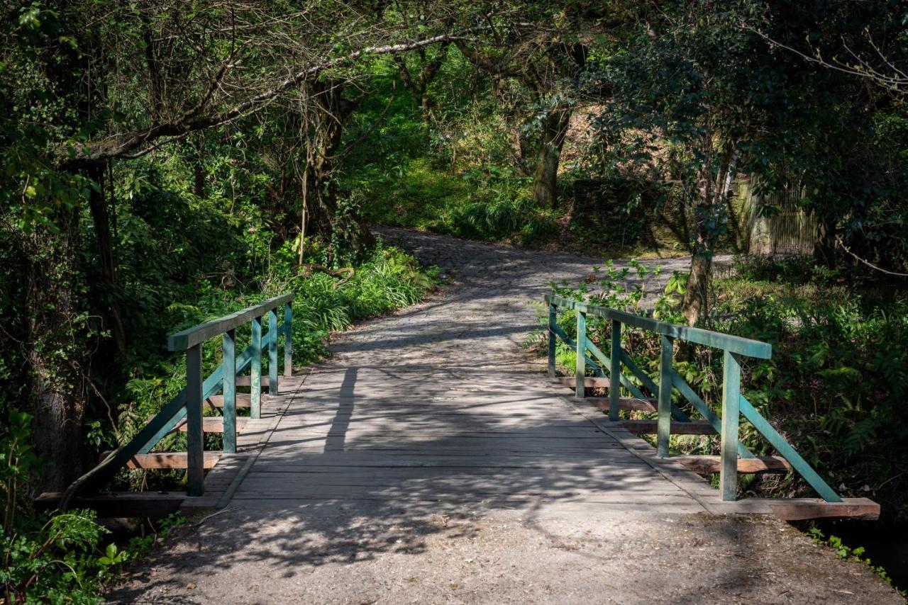 Affittacamere Quinta De Mouraes Casa Dos Rododendros Lever Esterno foto