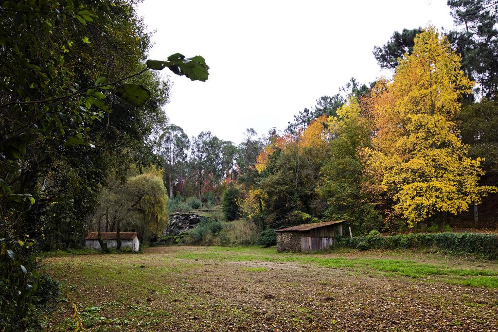 Affittacamere Quinta De Mouraes Casa Dos Rododendros Lever Esterno foto