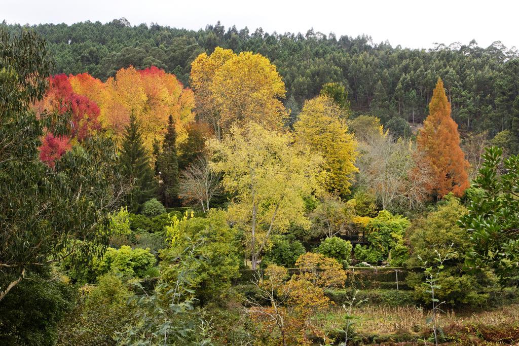 Affittacamere Quinta De Mouraes Casa Dos Rododendros Lever Esterno foto