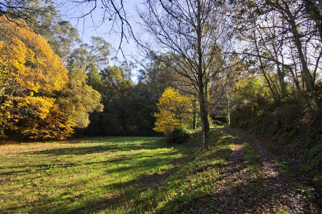 Affittacamere Quinta De Mouraes Casa Dos Rododendros Lever Esterno foto