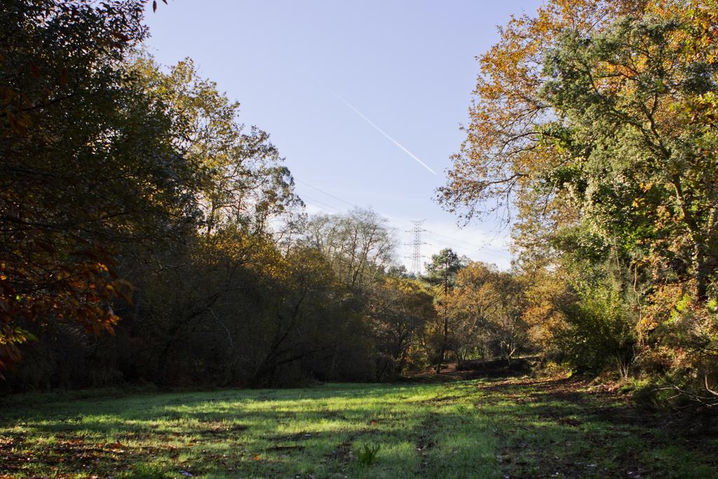 Affittacamere Quinta De Mouraes Casa Dos Rododendros Lever Esterno foto