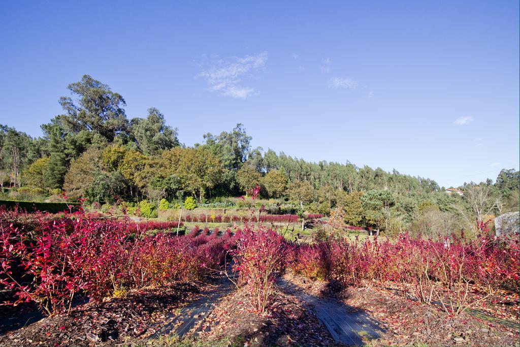 Affittacamere Quinta De Mouraes Casa Dos Rododendros Lever Esterno foto