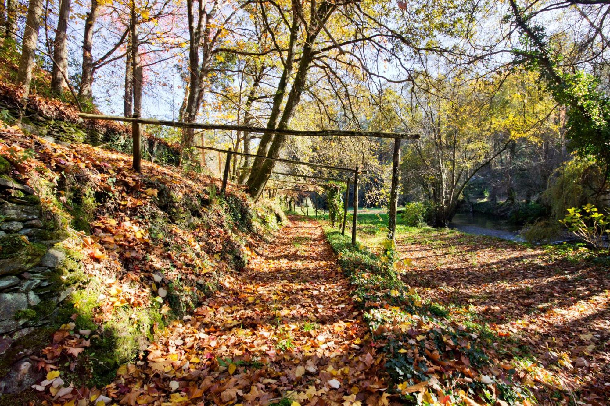 Affittacamere Quinta De Mouraes Casa Dos Rododendros Lever Esterno foto