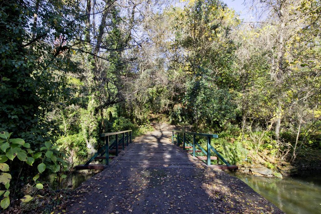 Affittacamere Quinta De Mouraes Casa Dos Rododendros Lever Esterno foto